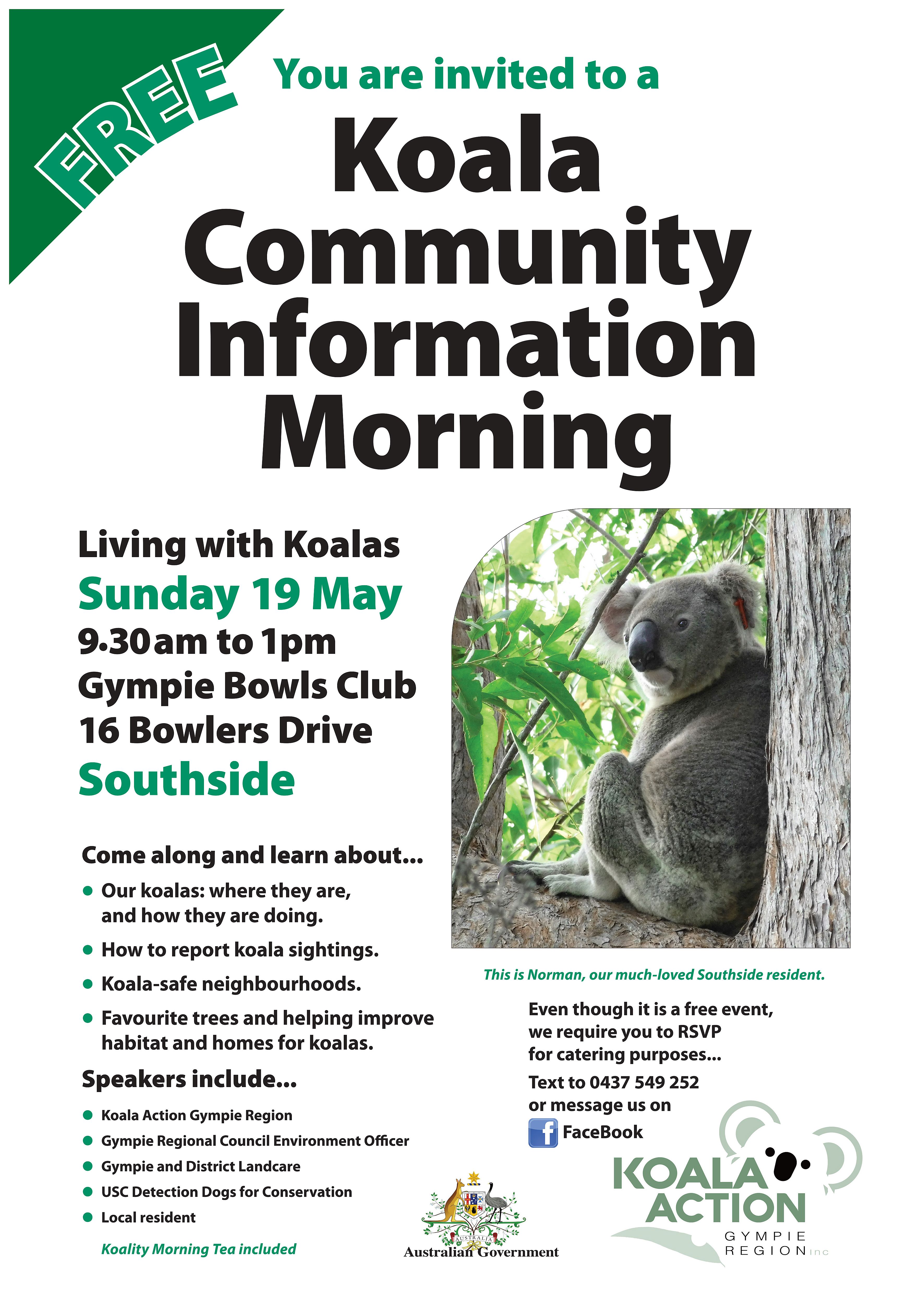 Southside koala info morning 19 may 2024 1 5 mb