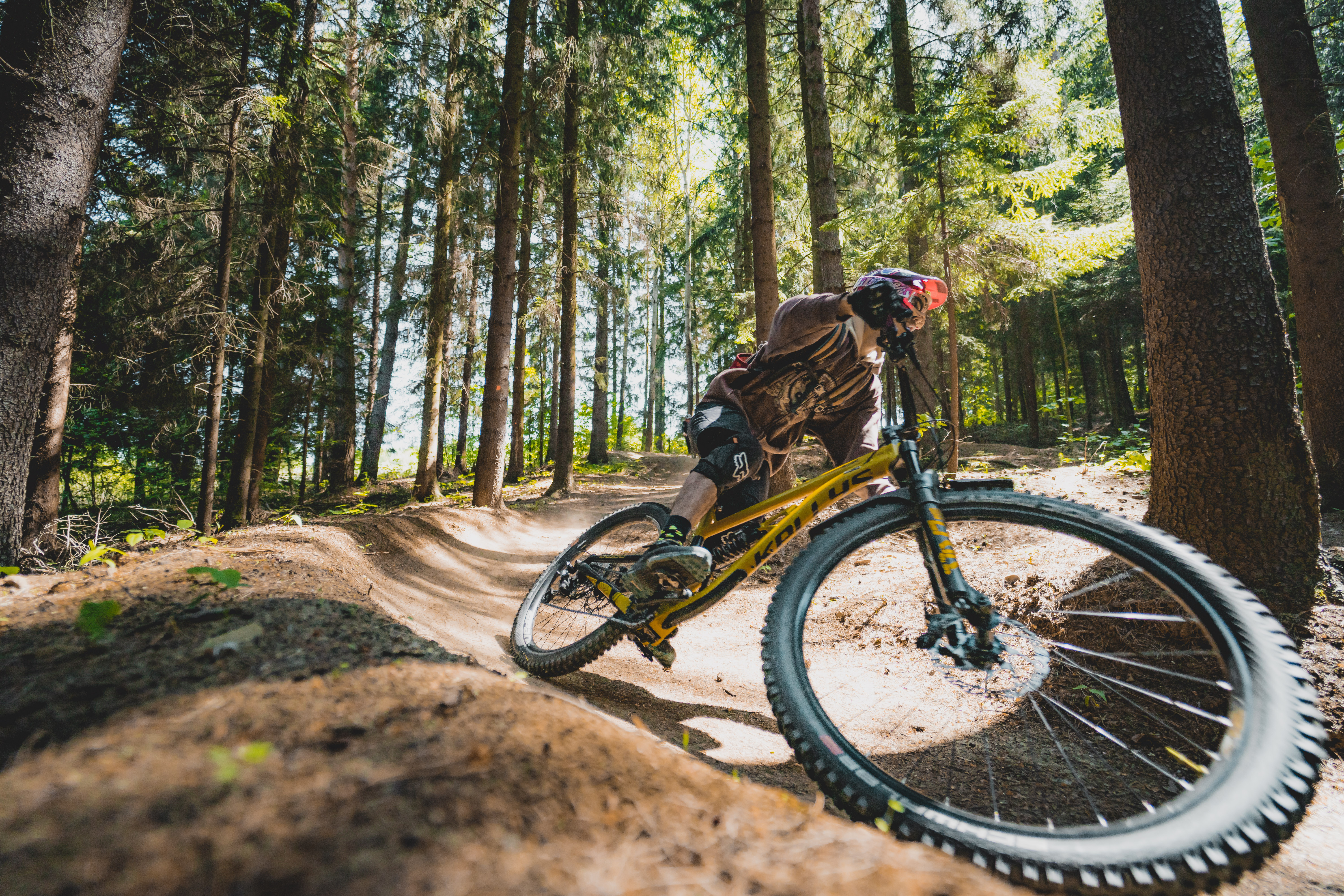mountain biker riding