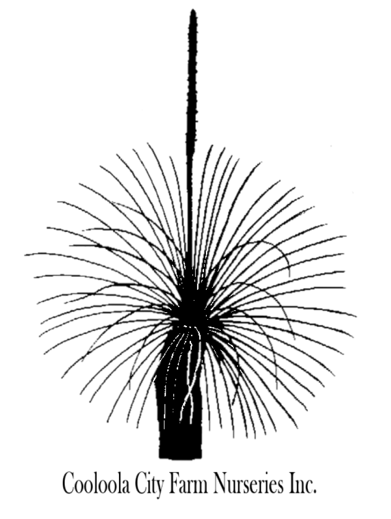 Logo CCFN1-01.png