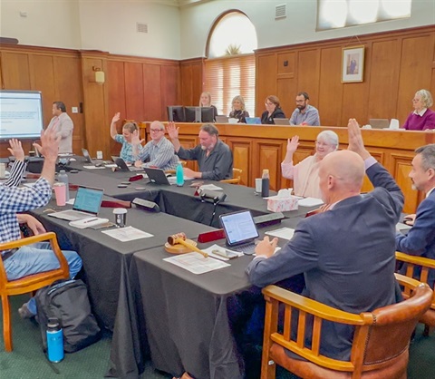 2025 Councillor Budget Vote