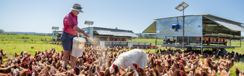 Food and Agribusiness Banner