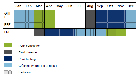 flying fox breeding table