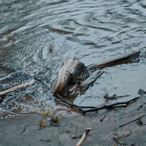 water pollution