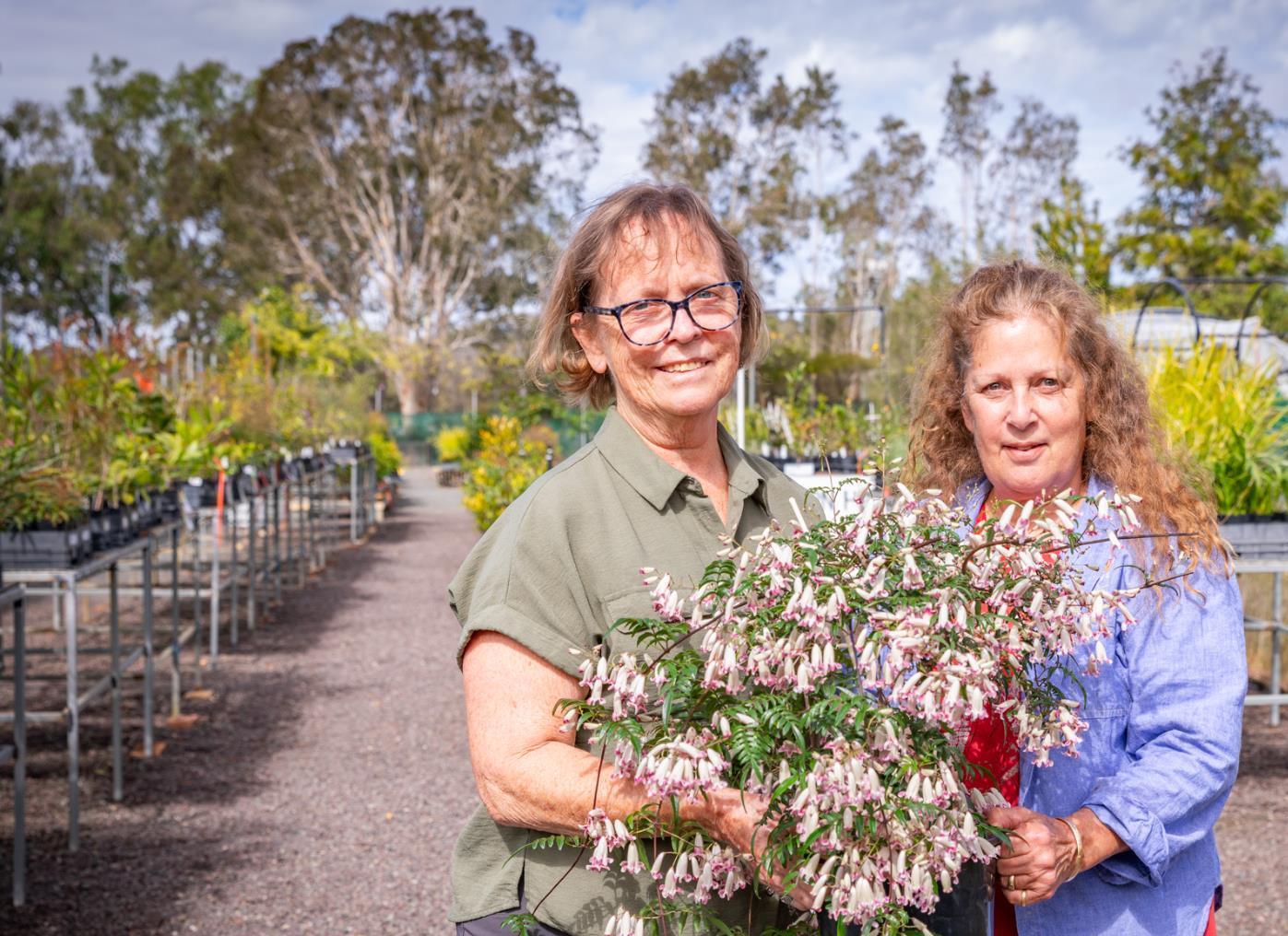 Free Tree Nursery 