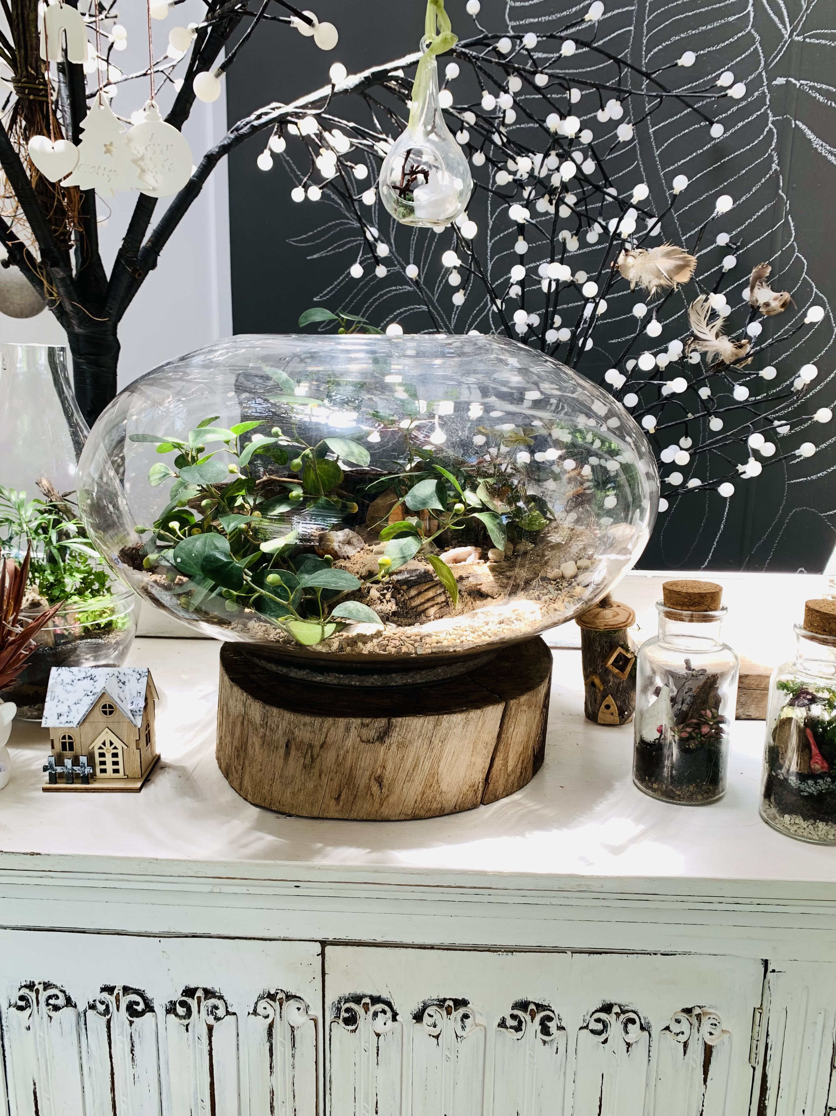 30 2 Plant presents studio trails terrarium pic1