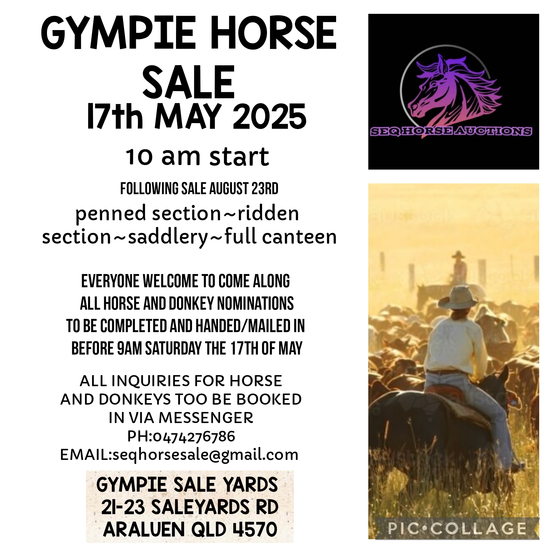 Gympie Horse Sale