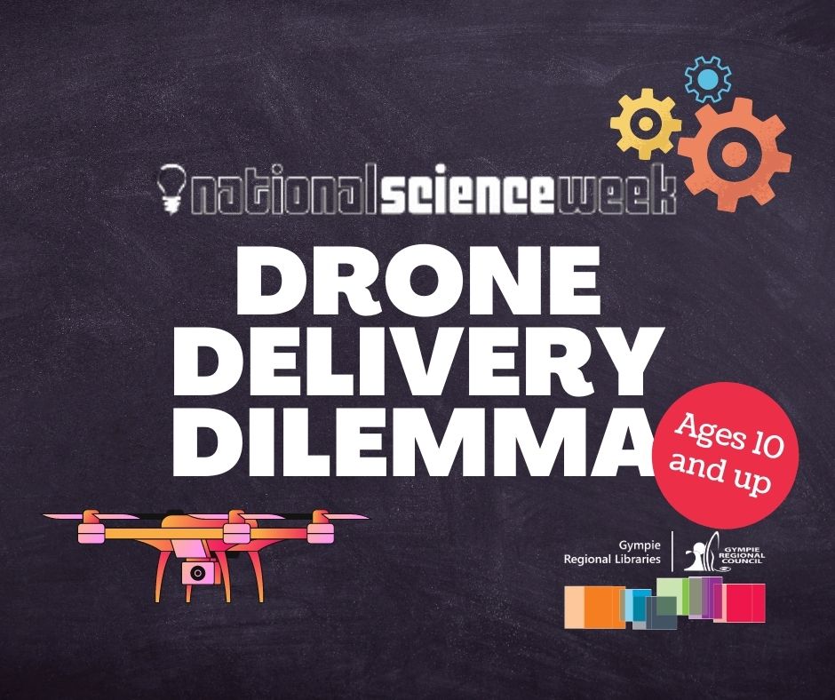 Drone Delivery Dilemma