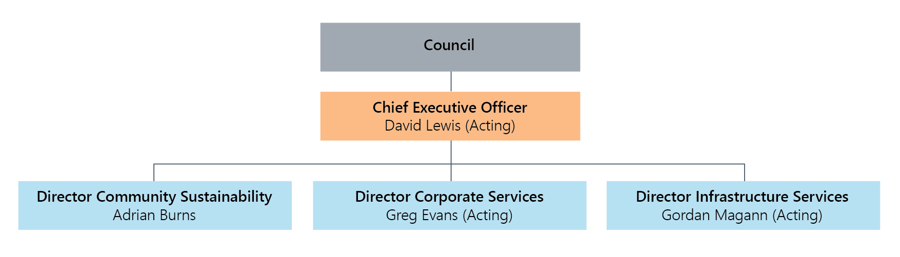 Organisations structure director level