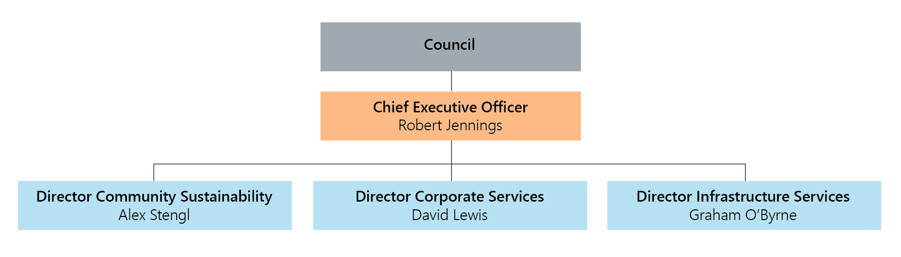 Organisations structure director level feb 2024