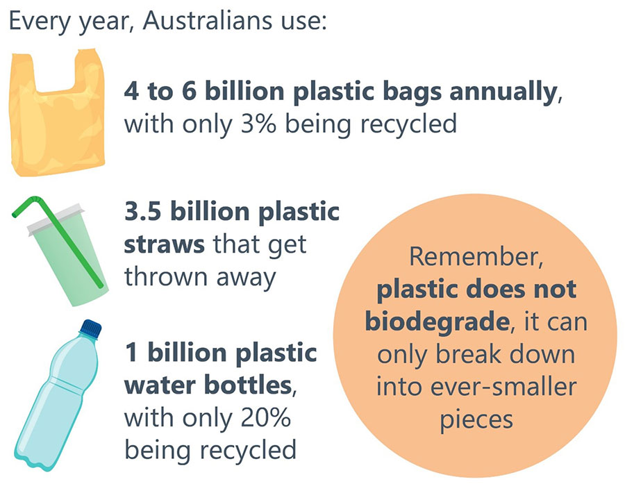 Single use plastics graphic