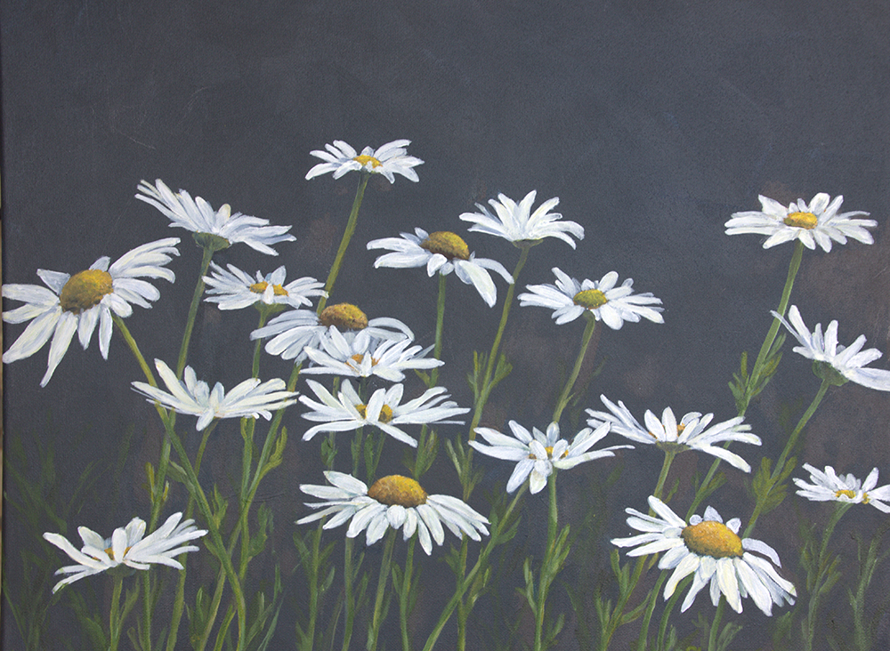 Vistas on vista glenda gilmore white daisies pastel on sanded paper 2024